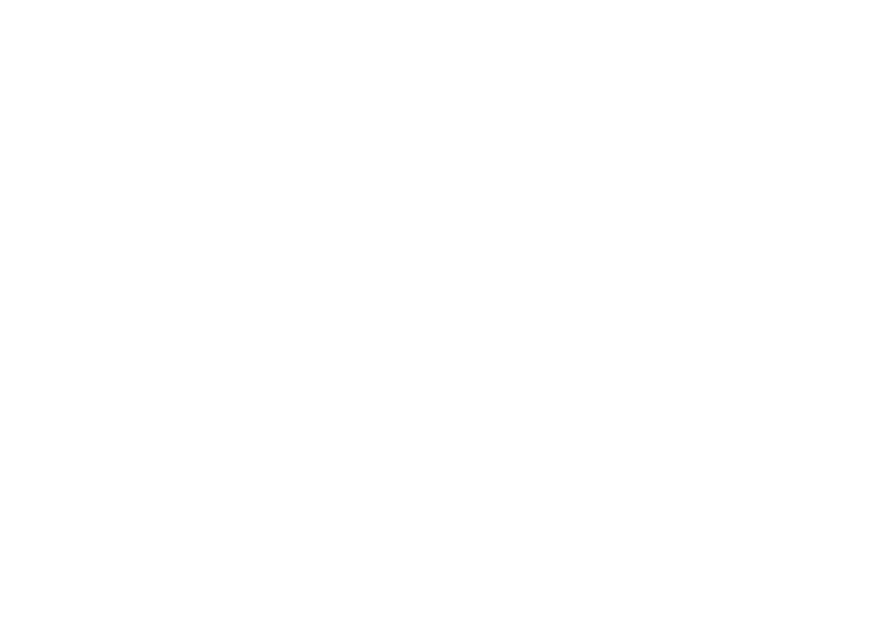 International Visa Consultancy